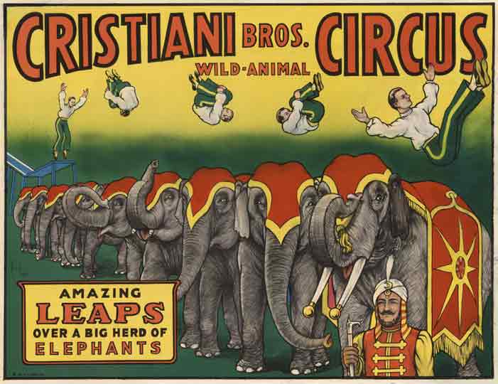 Amazing leaps over a big heard of elephants. Great condition with horizontal format. Amazing leaps over a big herd of elephants. Linen backed original Cristiani Bros. Circus. Wild-Animal.