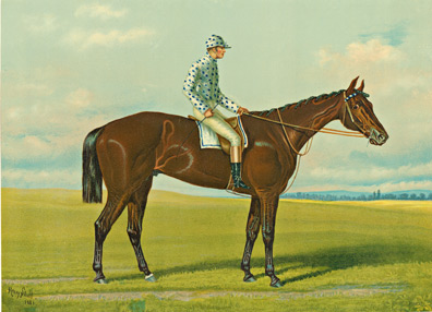 Equestrian, Jockey, Foxhall, Henry Stull, Pais, Race Horse, Field, Man on Horse