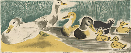 Leo Anchoriz, Ducks, School Panel, Green White and Yellow, Pond, Fairy Tale, Lithograph, Horizontal