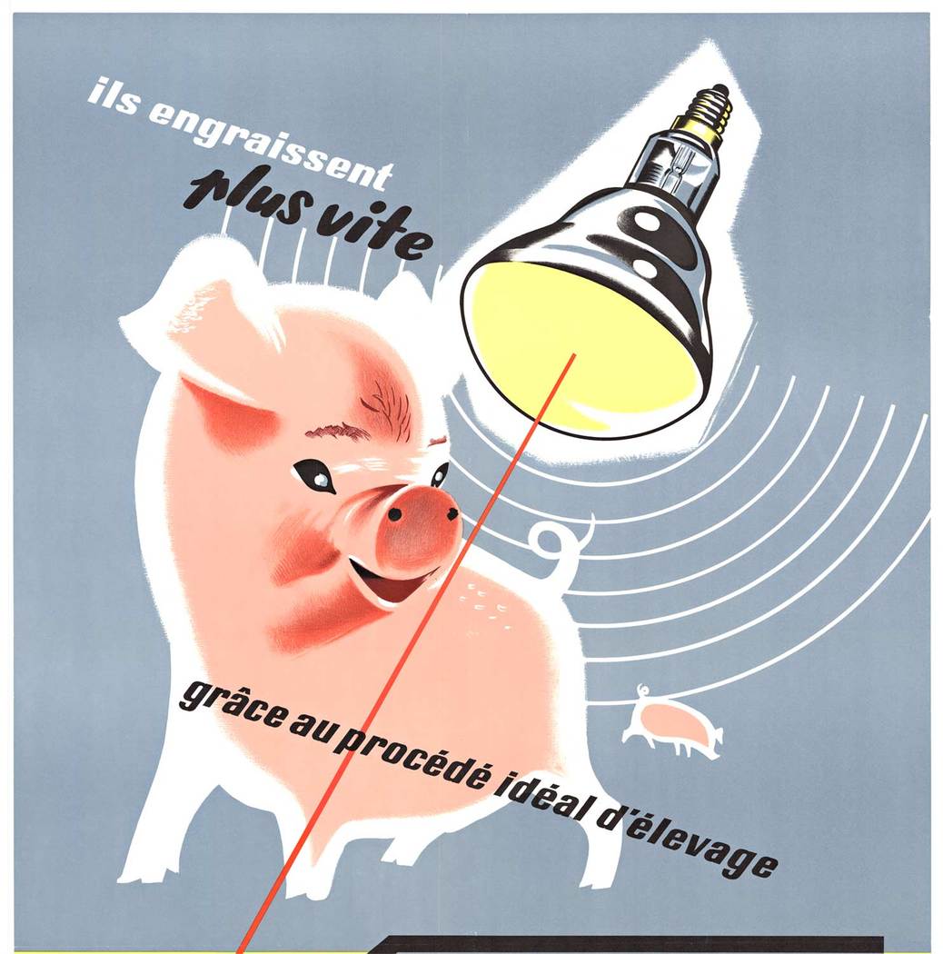 Original Philips Infra-Rouge vintage poster. Size: 23" x 31". Archival linen backed French antique poster. It is archival linen backed and ready to frame. <br>This fun kitchen poster features a small piglet warming under the heat lamp. <br>These he