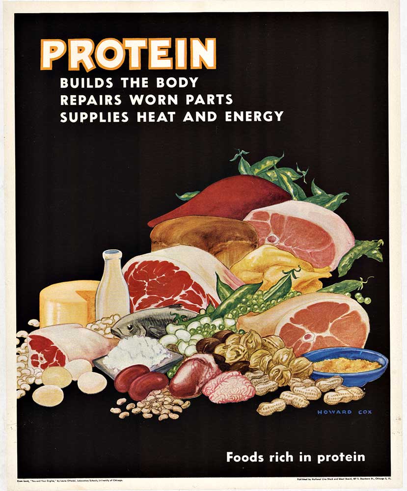 protein food groups, linen backed, fine condition.