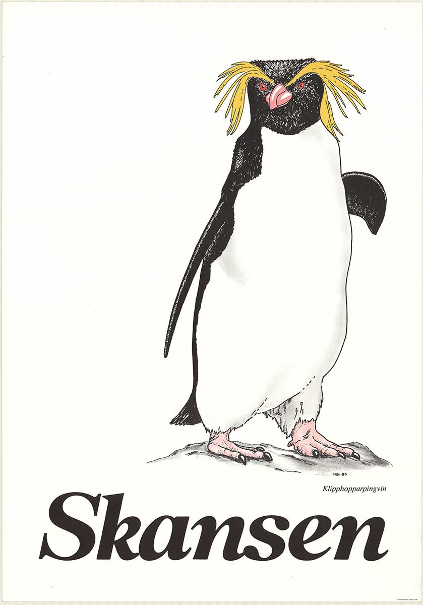 penguin, Skansen rock hopping penguin, original poster,