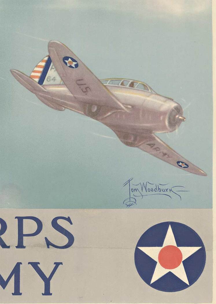 Bald Eagle, us planes, US Army, Air Corjp