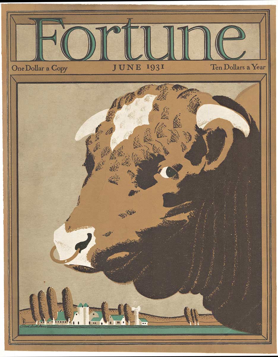 bull, farm, silos, nose rings, magazine cover, original