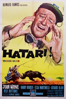 John Wayne, Afria scene, wild life, lasso, linen backed, Italian format poster, original poster