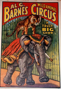 Barnes Circus A tiger rides an elephant
