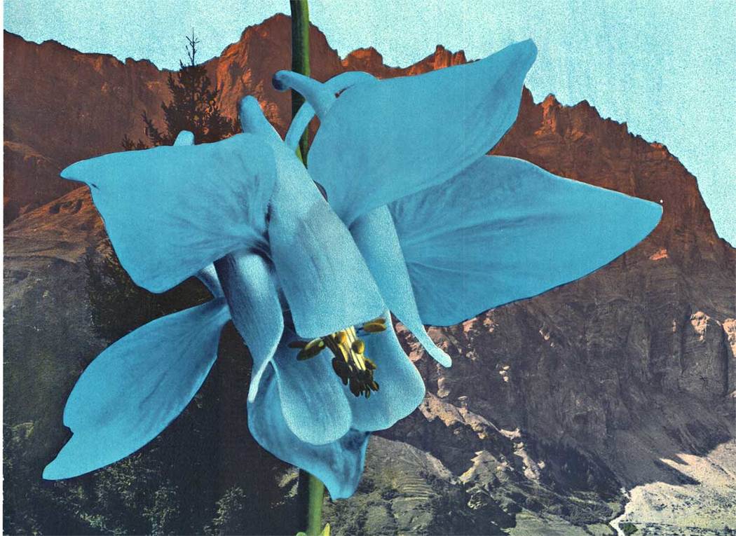 large blue flowers, mountain ranges, ciity of Loeche les bains, Swiss poster, linen backed,