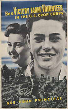  Title: Be A Victory Farm Volulnteer , Date: 1943 , Size: 14 x 22