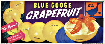 grapefruit, fruitbox label, linen backed, original poster. Fine condition.