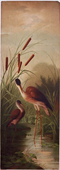  Title: Herons , Date: circa 1910 , Size: 13